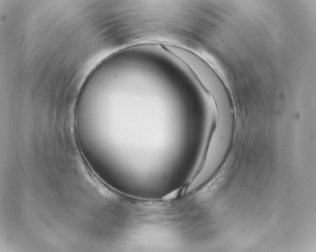 X0000088570862200706151645