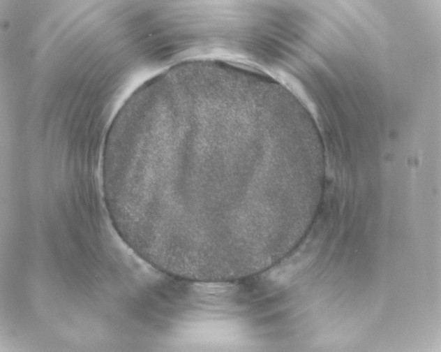 X0000088570863200706151645