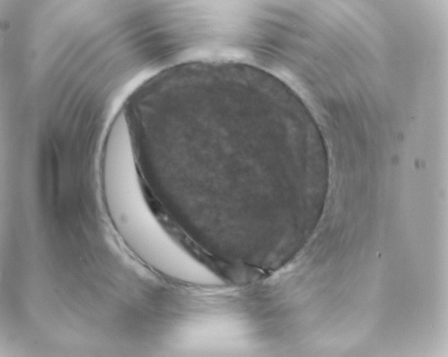 X0000088570864200706151645