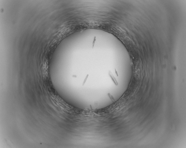 X0000088570866200706151644