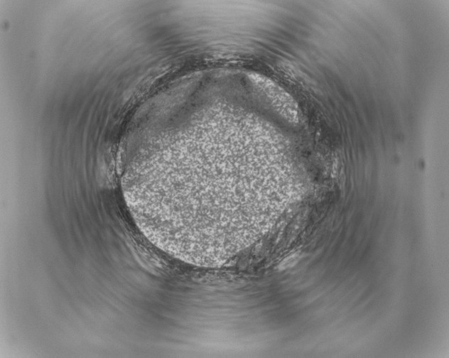 X0000088570868200706151644