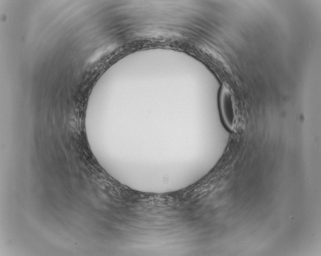 X0000088570869200706151644