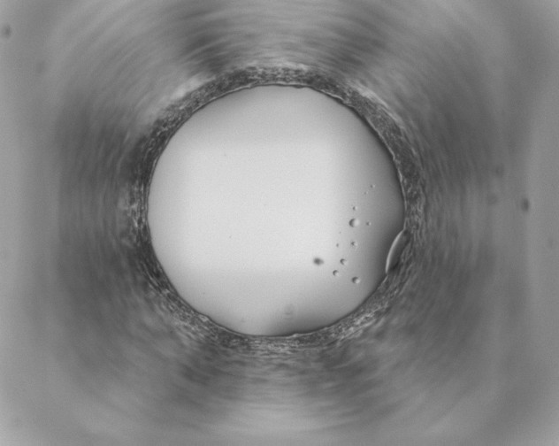 X0000088570870200706151644