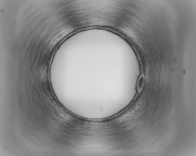 X0000088570873200706151644