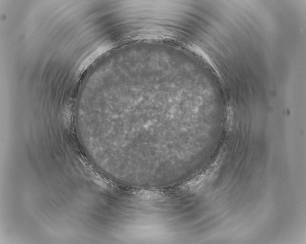 X0000088570874200706151644