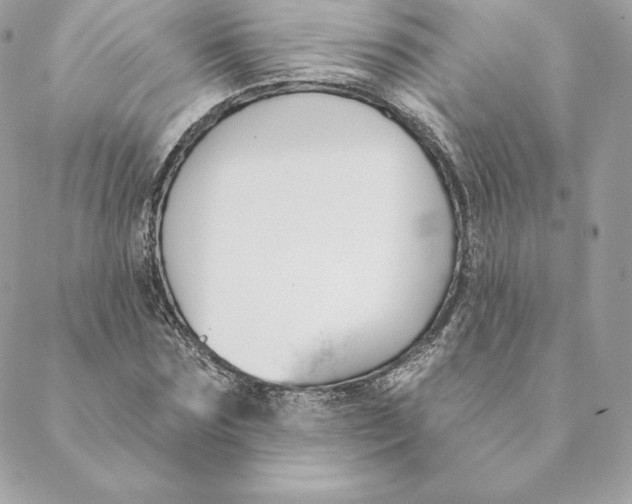 X0000088570875200706151644