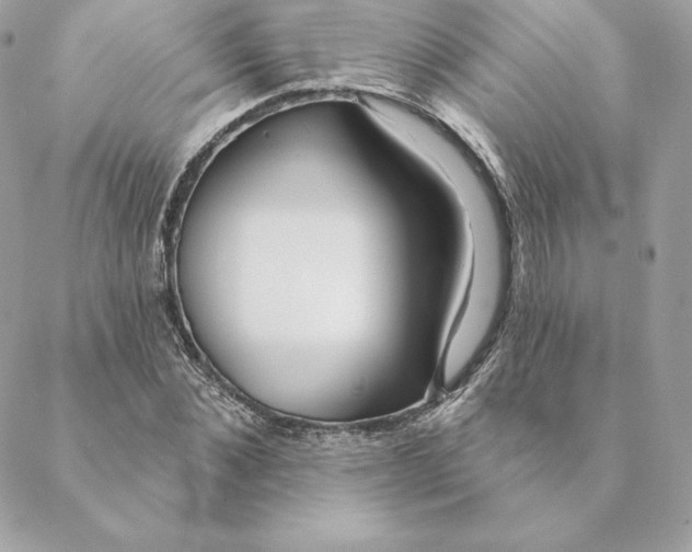 X0000088570876200706151644