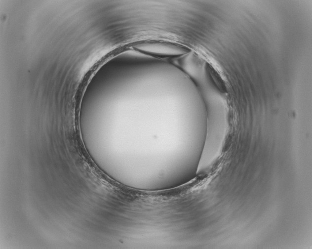 X0000088570877200706151644