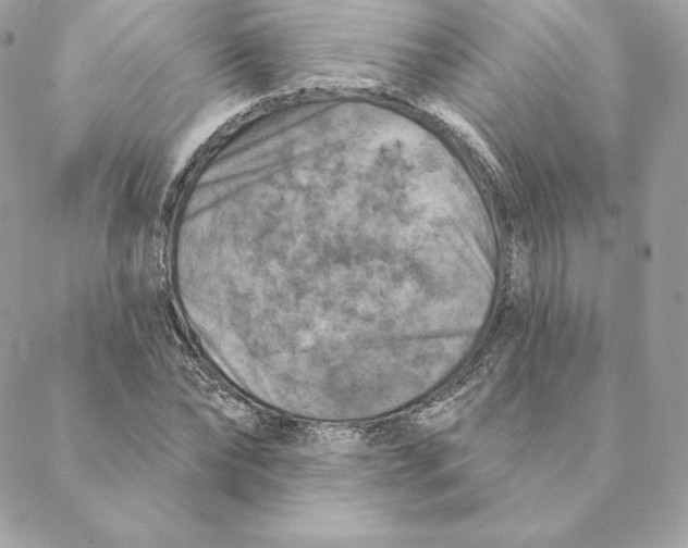 X0000088570878200706151644