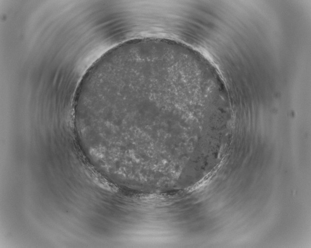 X0000088570879200706151644