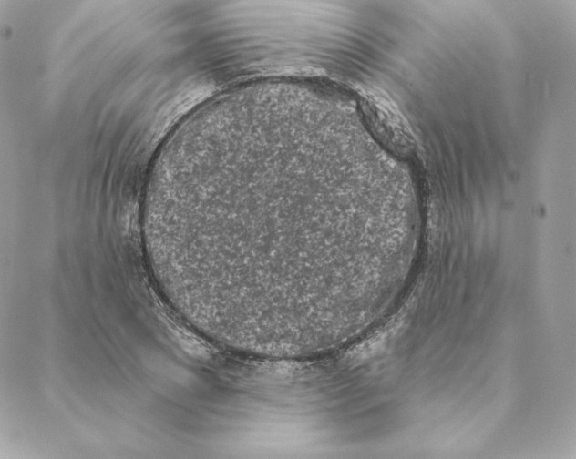 X0000088570881200706151644