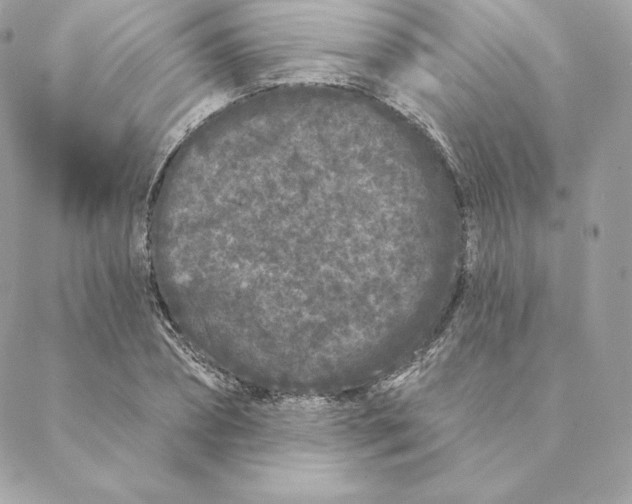 X0000088570882200706151644