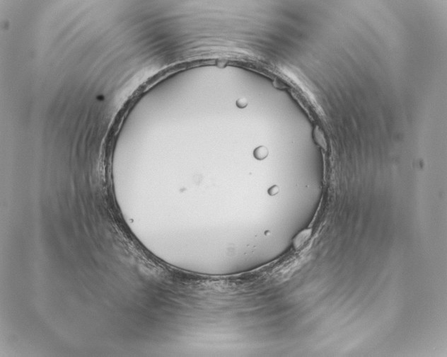 X0000088570883200706151644