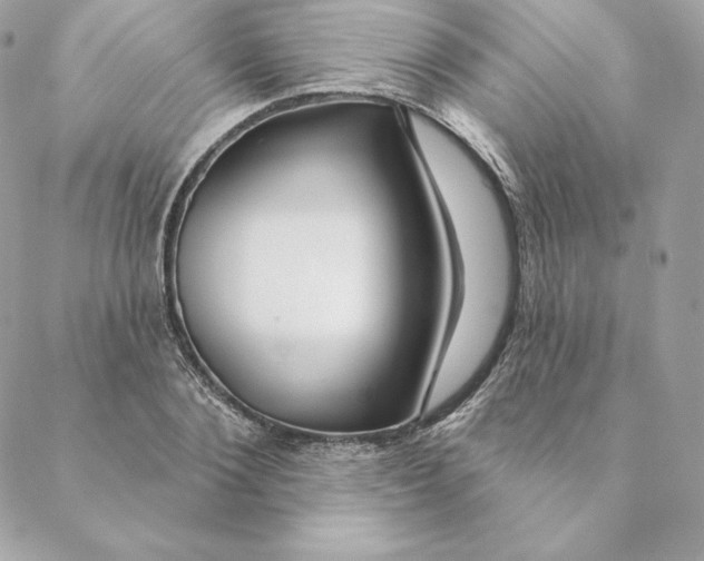 X0000088570884200706151644