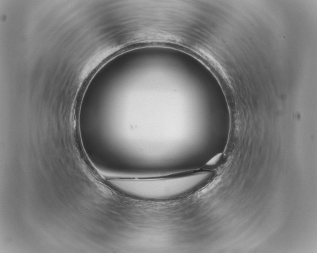 X0000088570885200706151644