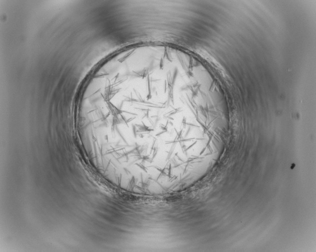 X0000088570886200706151644