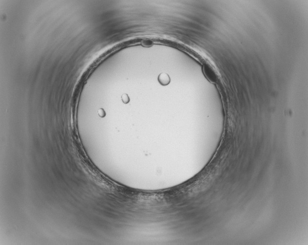 X0000088570887200706151644