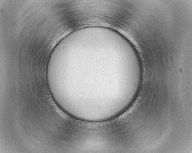 X0000088570889200706151644