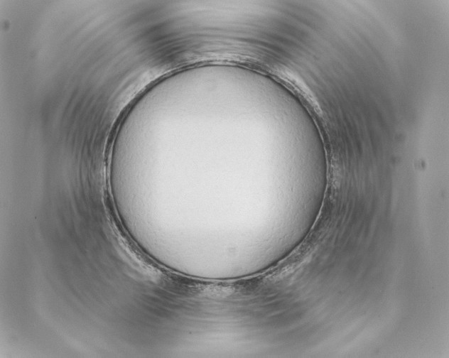 X0000088570890200706151643