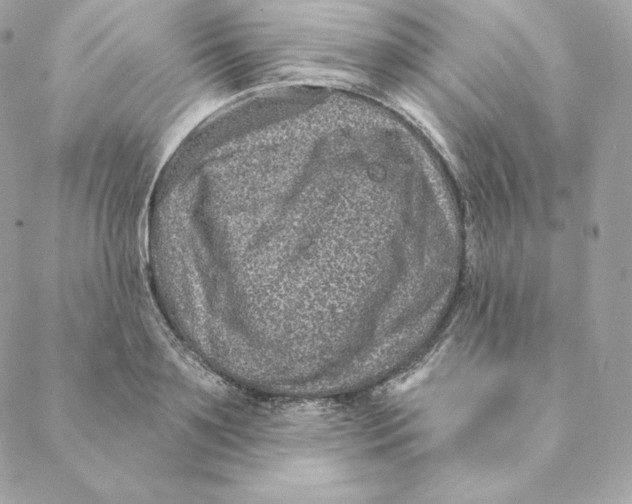 X0000088570891200706151643