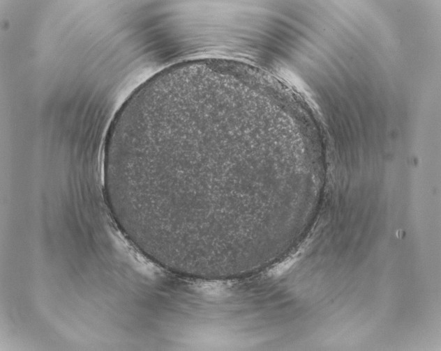 X0000088570892200706151643