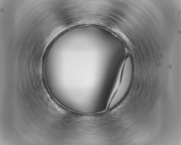 X0000088570894200706151643