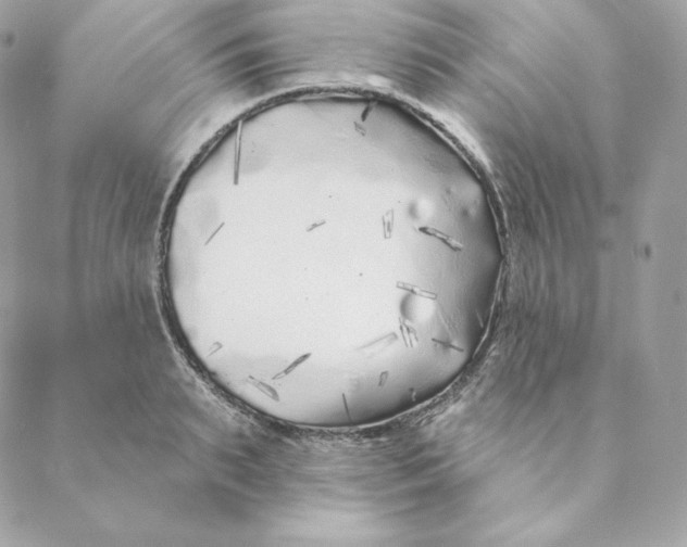 X0000088570895200706151643