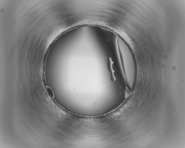 X0000088570896200706151643