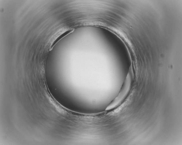 X0000088570897200706151643