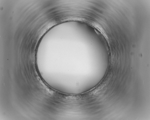 X0000088570898200706151643