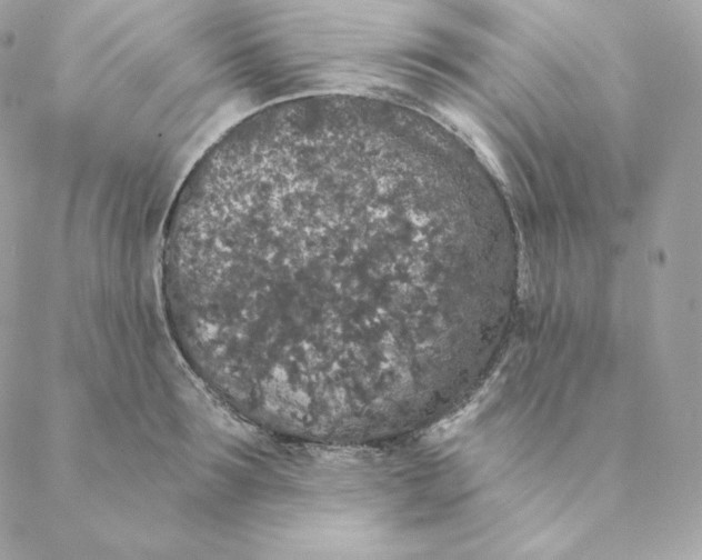 X0000088570899200706151643