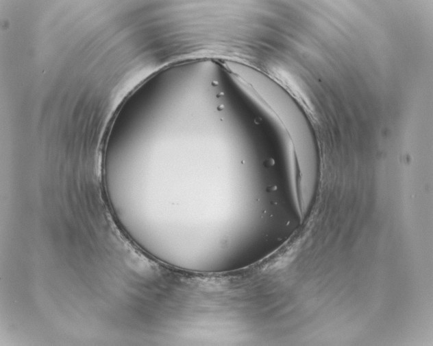 X0000088570900200706151643