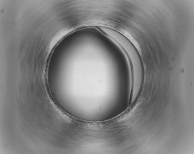 X0000088570901200706151643