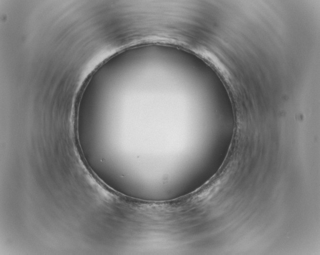 X0000088570902200706151643