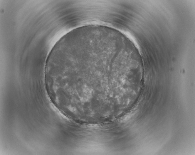 X0000088570903200706151643