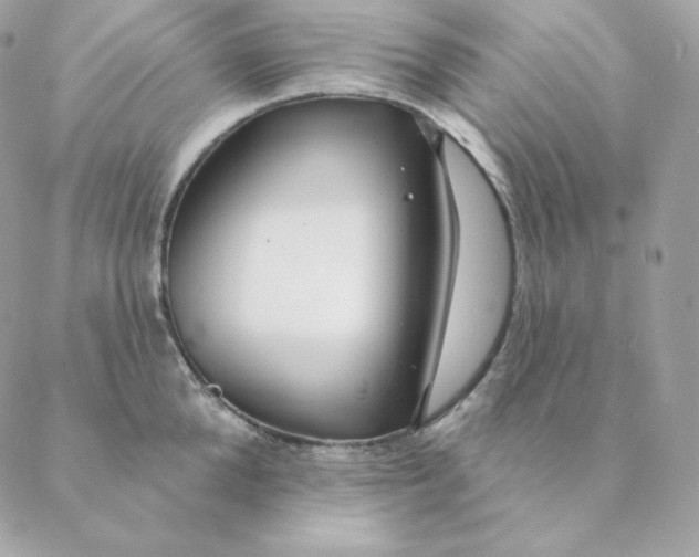 X0000088570904200706151643