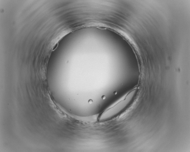 X0000088570905200706151643