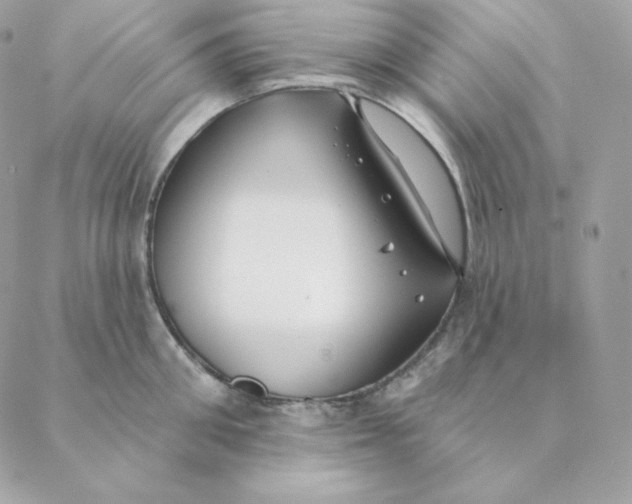 X0000088570906200706151643