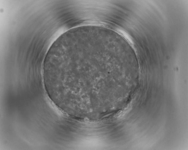 X0000088570907200706151643