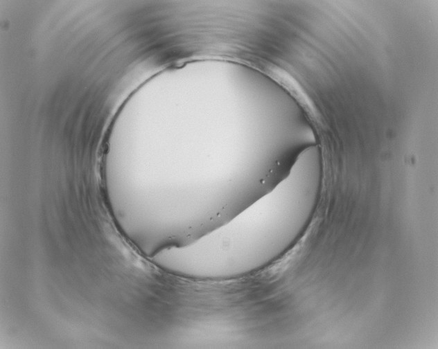 X0000088570908200706151643