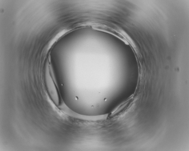 X0000088570909200706151643