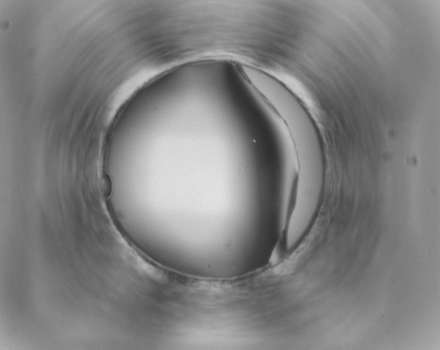 X0000088570910200706151643