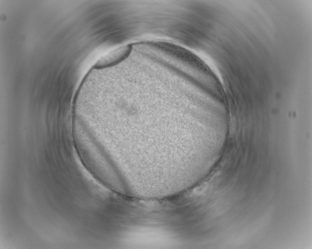 X0000088570911200706151643