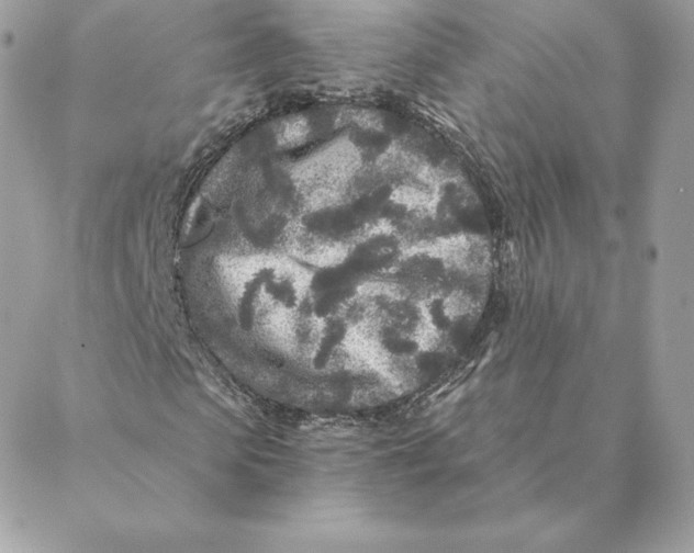 X0000088570913200706151642