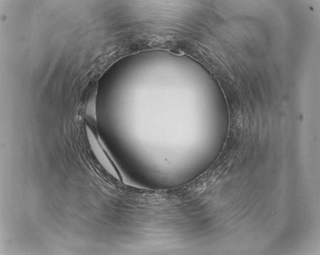 X0000088570914200706151642