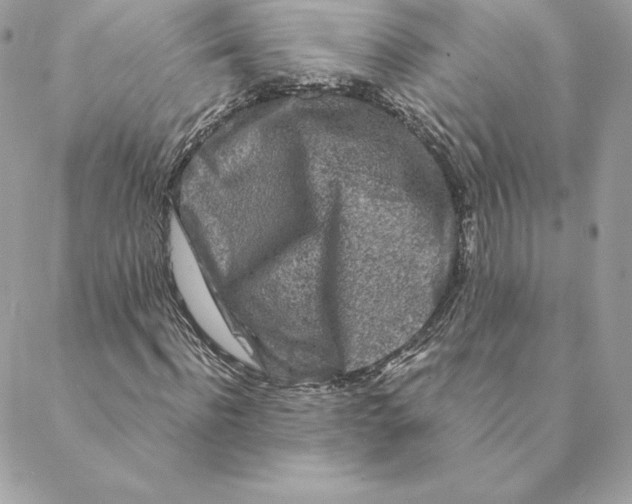 X0000088570916200706151642