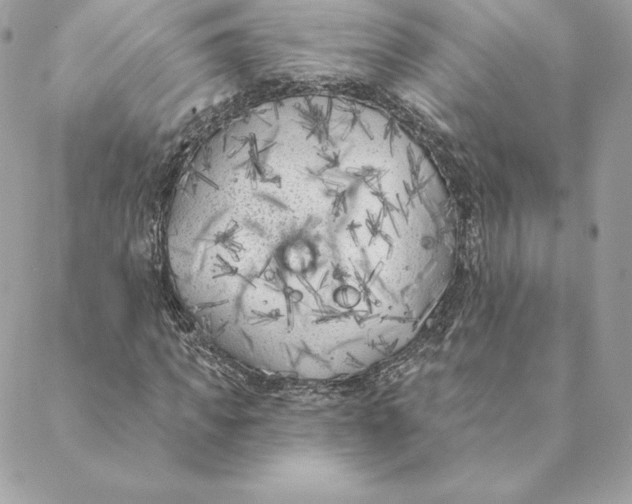 X0000088570917200706151642