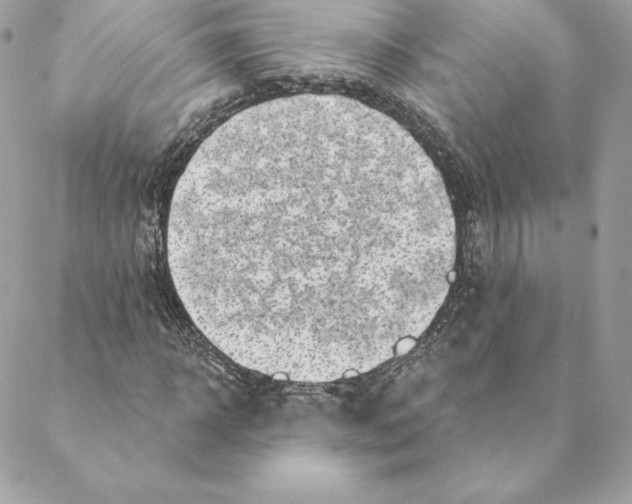 X0000088570918200706151642