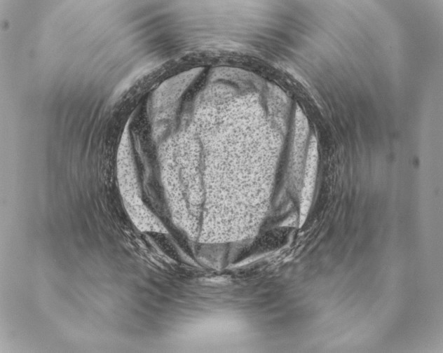 X0000088570919200706151642