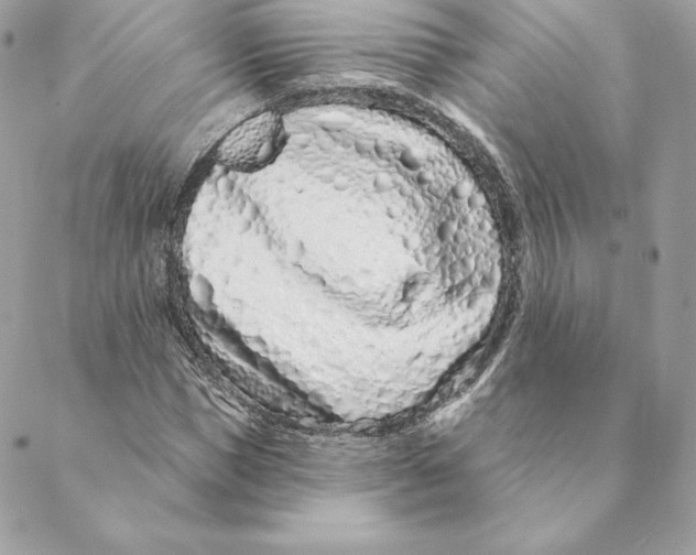 X0000088570921200706151642